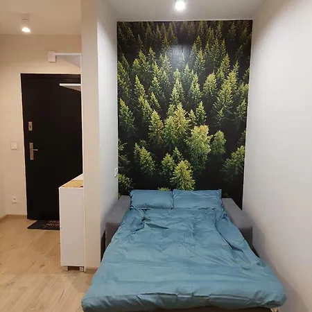 Pod Gora Szyndzielnia , Debowiec ビエルスコ・ビアバ